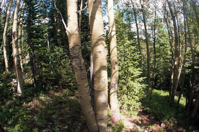 Baker Gulch Trail 11.jpg